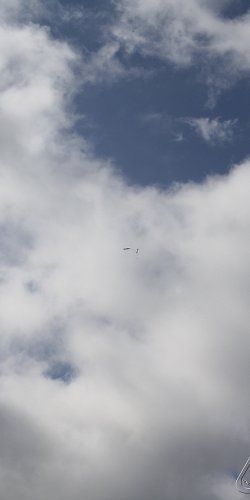 2013 Svojek Mirek Topinka